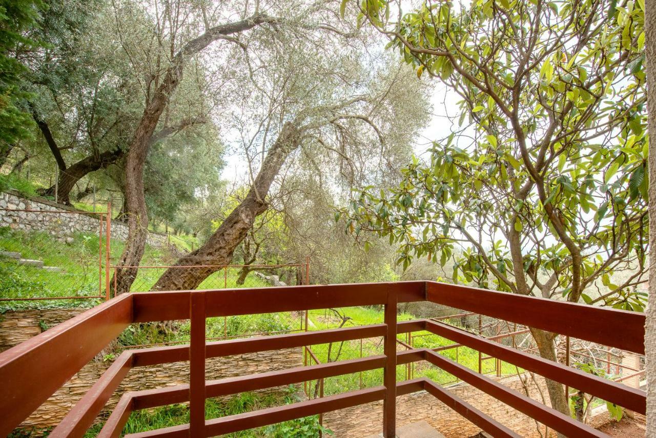 Villa Milana 부드바 외부 사진